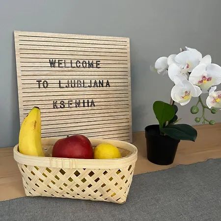 Blizu Centra In Na Robu Tivolija * Ljubljana