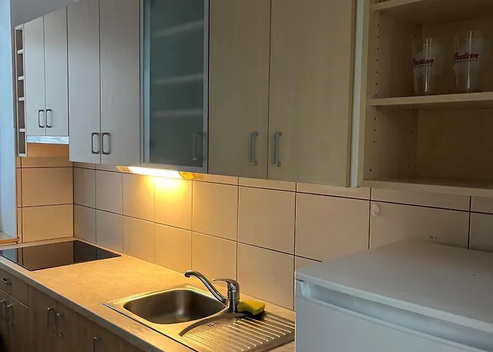 Blizu Centra In Na Robu Tivolija Apartma